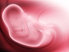国内正规医院卵子价格是多少？附一次供卵试管的费用和成功率