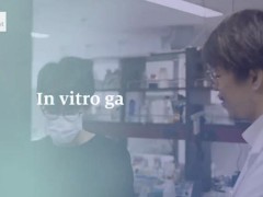 公开国内正规私立试管婴儿医院最新排名！速速收藏起来