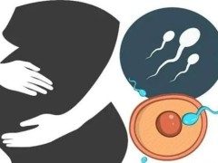 单身女性可以在精子库申请供精生子吗？国内政策不允许