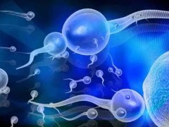 云南供卵试管婴儿医院排名榜！云南省第一人民医院可做供卵三代试管