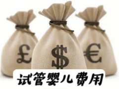 香港三代试管婴儿费用多少？2025版最新收费支出明细