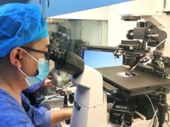福建省妇幼从进周到移植要多长时间？2025福建省妇幼试管助孕流程