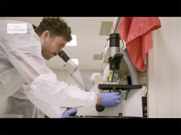 从卵子数量看试管成功率：影响取卵结果的关键因素解析