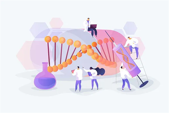 你的情况适合移植鲜胚吗？试管婴儿鲜胚移植人群指南