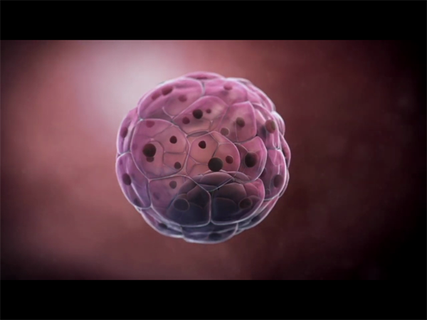 厦门第一医院试管婴儿全流程介绍！从初诊到验孕的每一步都在这