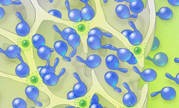 植入式免疫支架：瞄准肿瘤，一网打尽！