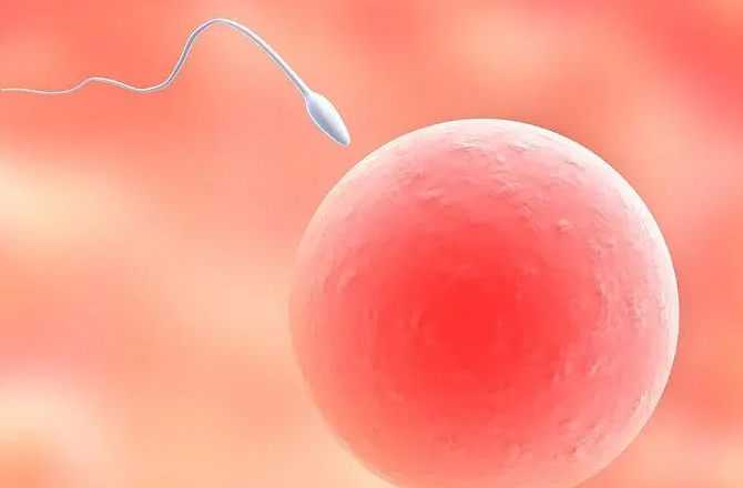 供精试管不是想做就能做！这7类情况可能被拒，提前自查避坑指南