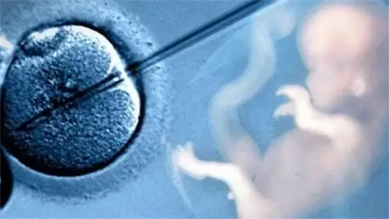 避开陷阱!识别非法试管婴儿选性别机构的5个关键信号
