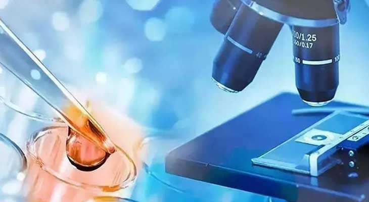 试管婴儿选性别全解析！合法途径与科学方法一次看懂