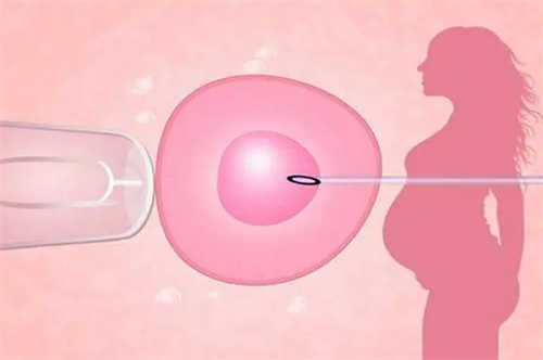 试管供卵多次尝试的费用预算!如何提高成功率少花“重复钱”