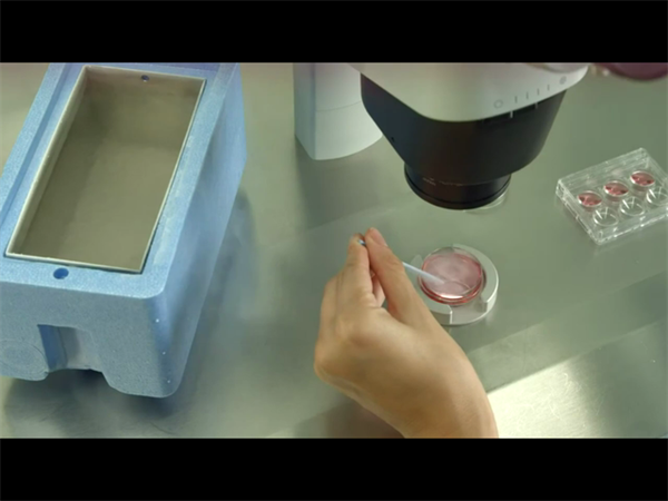 揭秘：哪些人群可以免费做试管婴儿？申请流程全解析