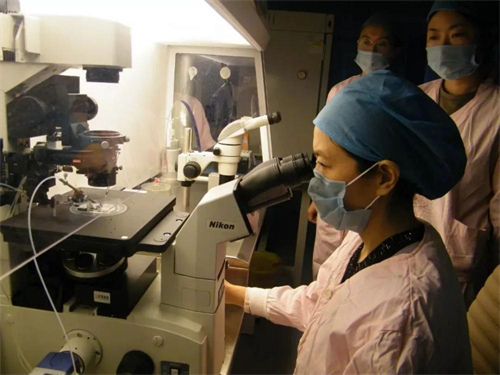 试管机构考察实战：如何用3个问题戳穿包成功话术的虚假性？