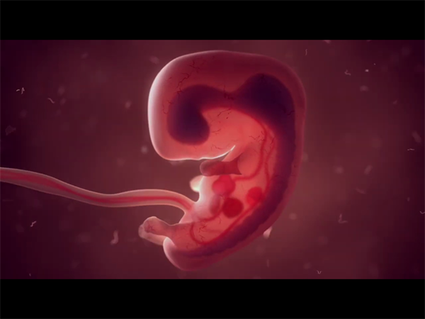 如何降低试管婴儿生化风险？10个科学护理建议提高着床率