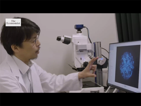 年龄与试管婴儿生化有关吗？35岁以上女性的应对方案盘点