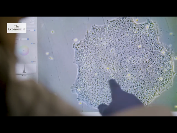 不仅仅是俄罗斯！吉尔吉斯斯坦辅助生殖政策优势有哪些？