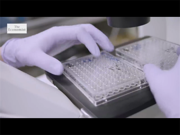 日本试管性价比之选！普通家庭如何规划20-30万预算落地