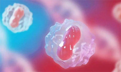 试管中卵子回收量少的焦虑如何缓解？先搞懂这4个核心认知误区