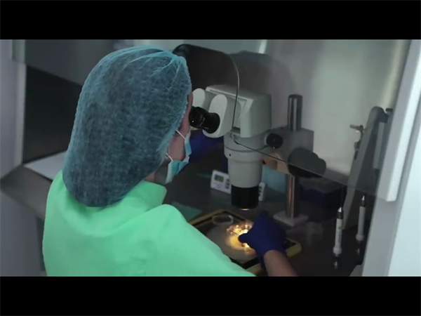 避开试管婴儿中介陷阱！5个核心指标帮你做出明智选择