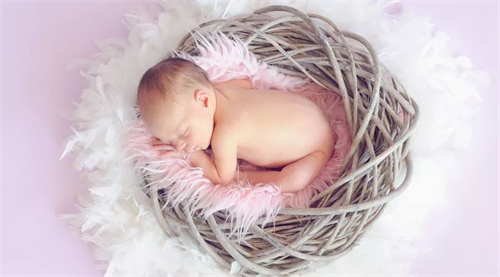 供卵试管vs领养孩子：从法律、情感与血缘角度的深度对比！