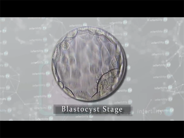 金钱换时间！2026年花20万去私立机构做供卵试管值得吗？