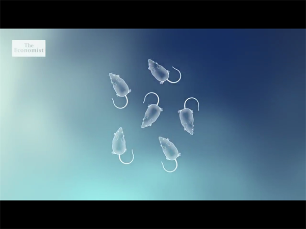 武汉供卵试管预算15万！公立医院与私立机构如何做出明智选择