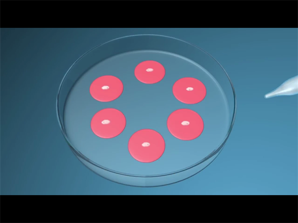 武汉做供卵试管的180天！从协和登记到移植成功的全记录
